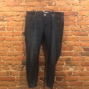 Loft plus size jeans, brand new